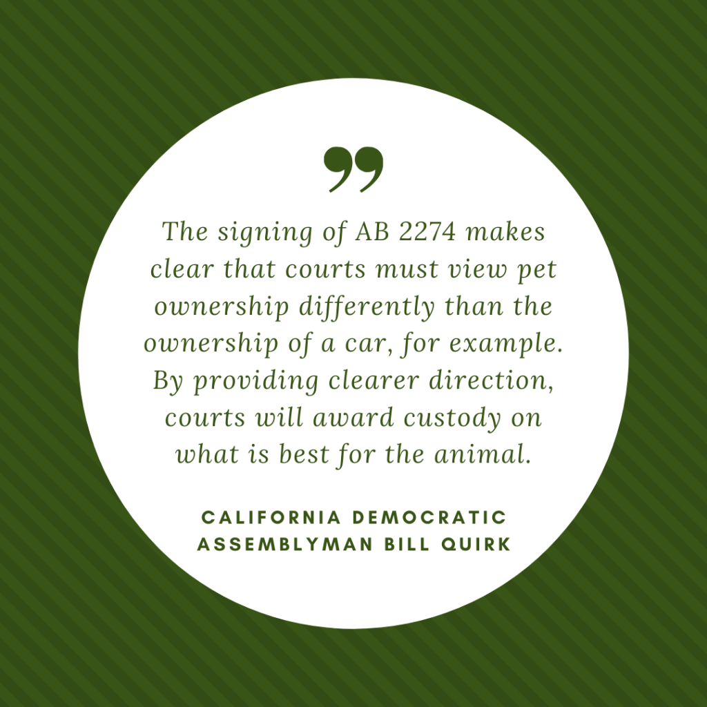 Pet custody laws California