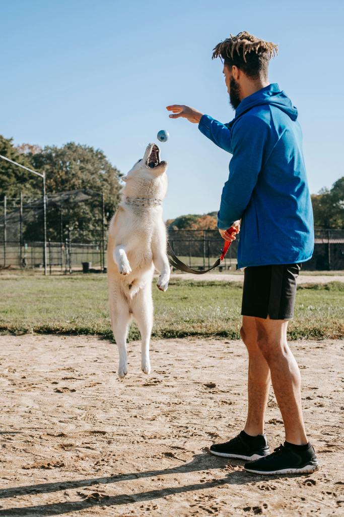 A white man is throwing a ball. A large white dog is jumping up to catch the ball. They are in dirt at a park.