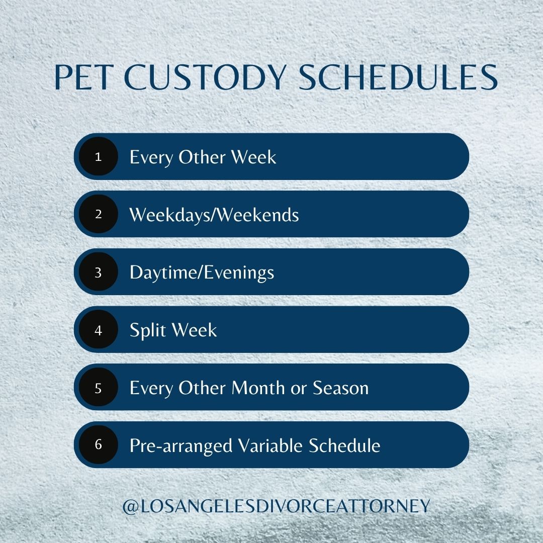 6 pet custody schedules are listed on a graphic: every other week, weekday/weekends, daytime/evening, split week, every other month or season, or pre-arranged variable schedule.