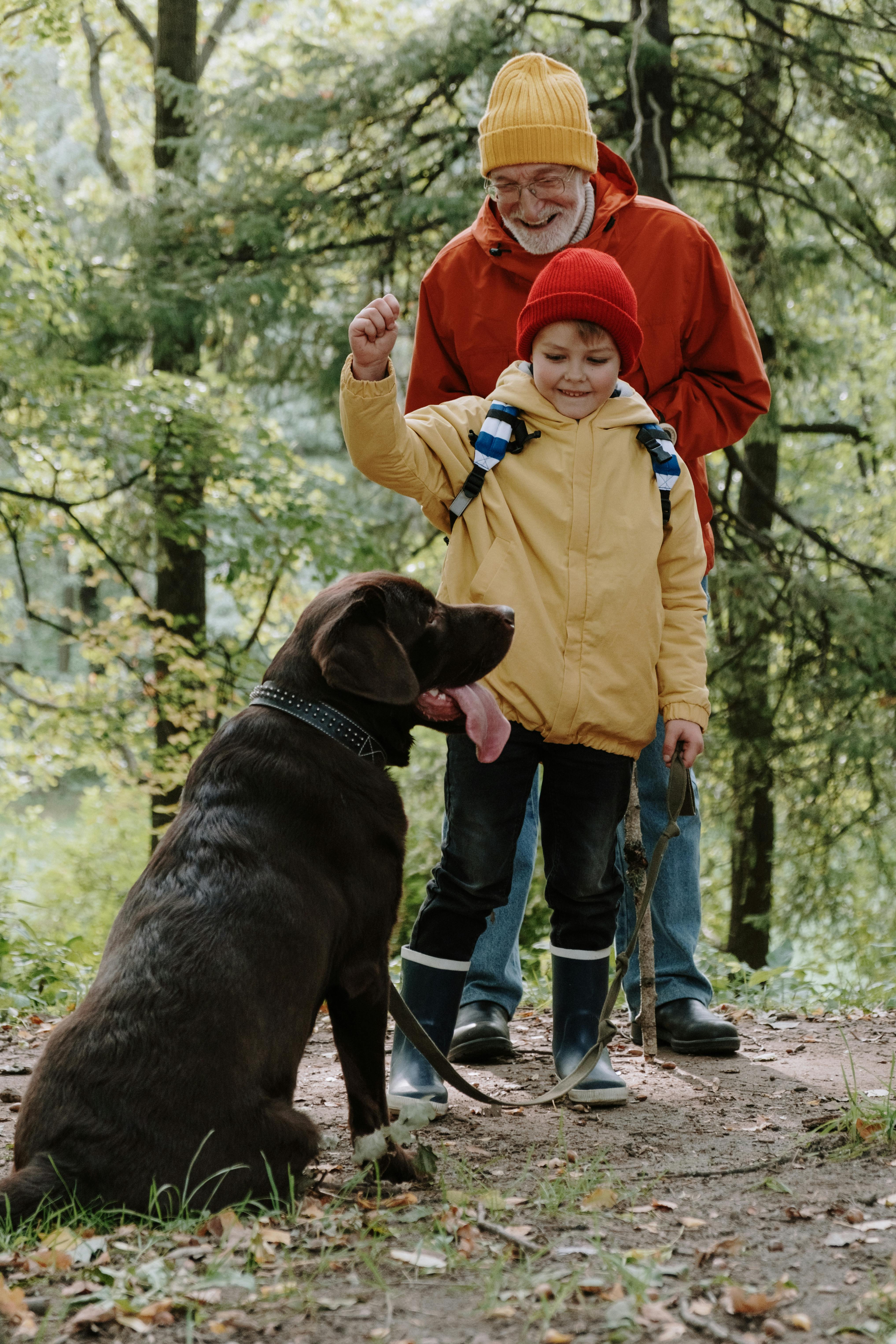 A grandfather has his hands on his grandson's shoulders. The grandson is holding a dog leash with a dark lab on the other end. The dog is sitting waiting for the boy to give the next command.